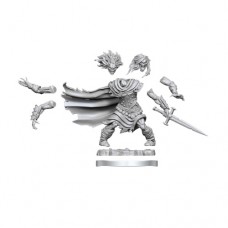 WizKids - 龍與地下城 - 組裝模型 - 「屍妖」D&D Frameworks: Wight 75052 (NT 500元)